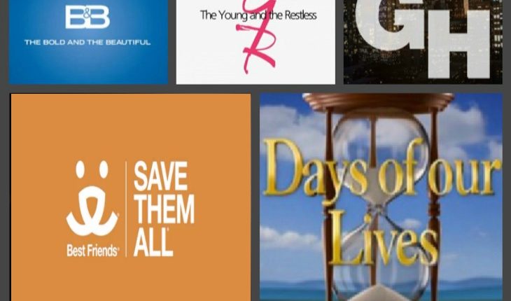 Daytime-soaps-animals-charity