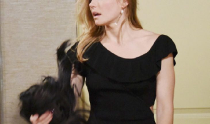 dool