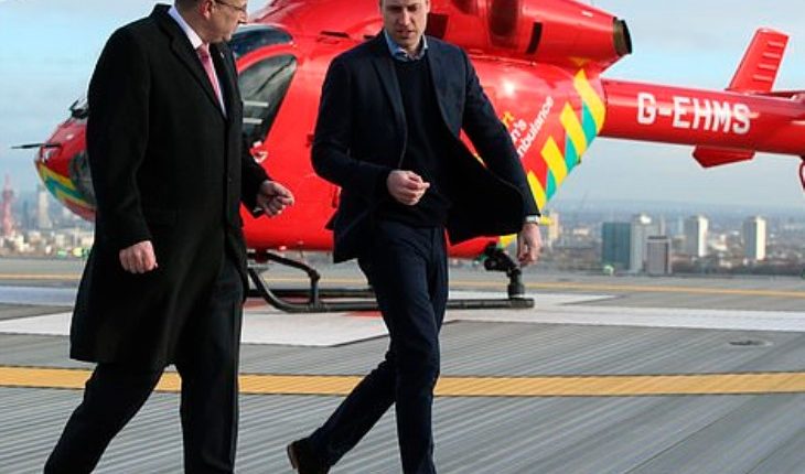 Prince William (730 x 632)