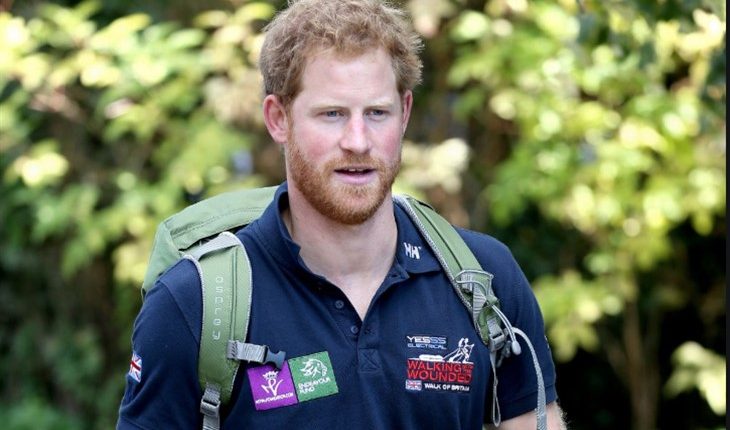 Prince Harry (730 x 496)