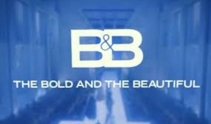 The Bold And The Beautiful (730 x 458)