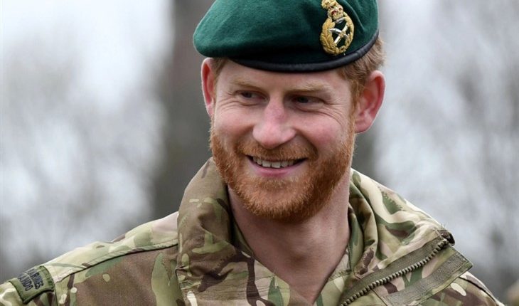 Prince Harry (730 x 496)