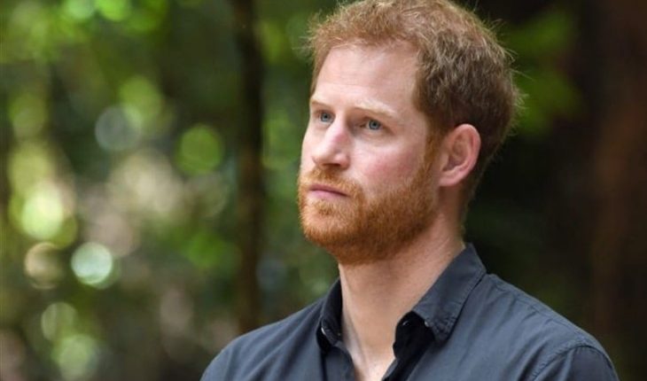 Prince Harry (730 x 552)