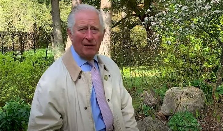 Prince Charles (730 x 465)