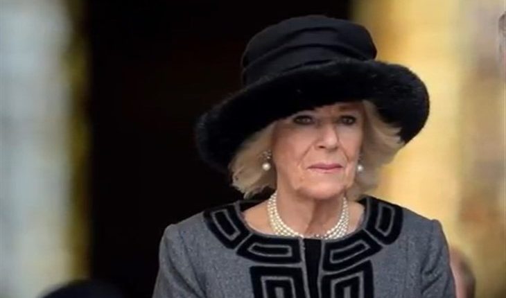 Camilla Parker Bowles (730 x 517)