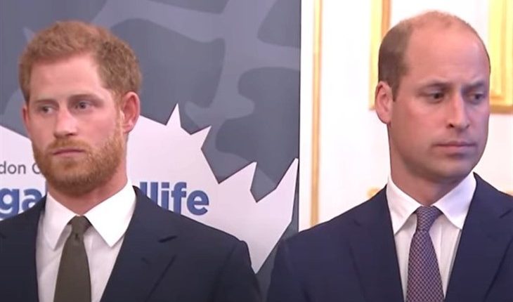 Prince William And Prince Harry