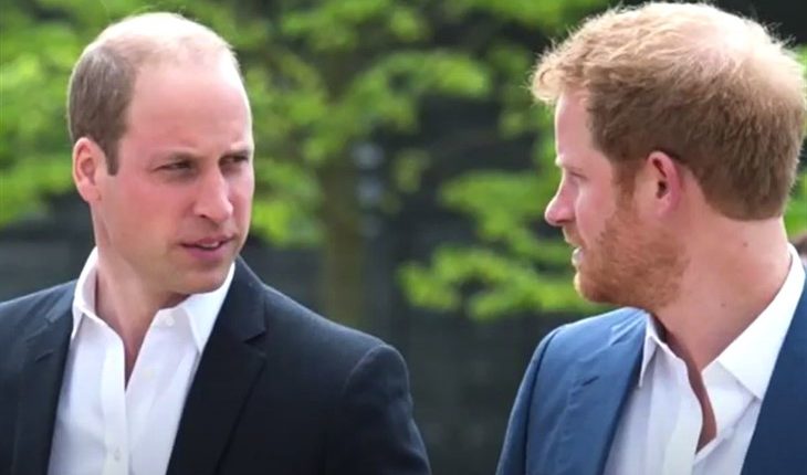 Prince William And Harry