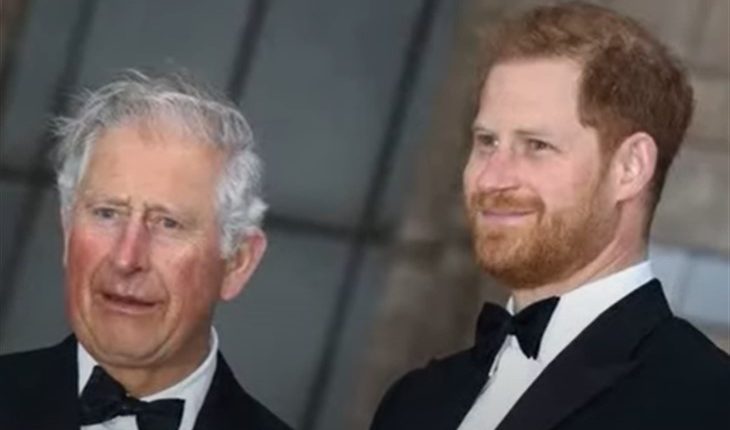 Prince Charles And Harry
