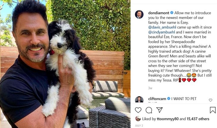 Beautiful Spoilers – Don Diamont