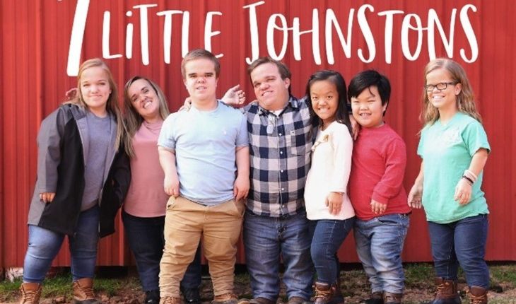 7 Little Johnstons