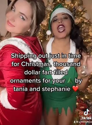 90 Day Fiancé Sale Stinky Christmas Ornaments From Tania and Stephanie
