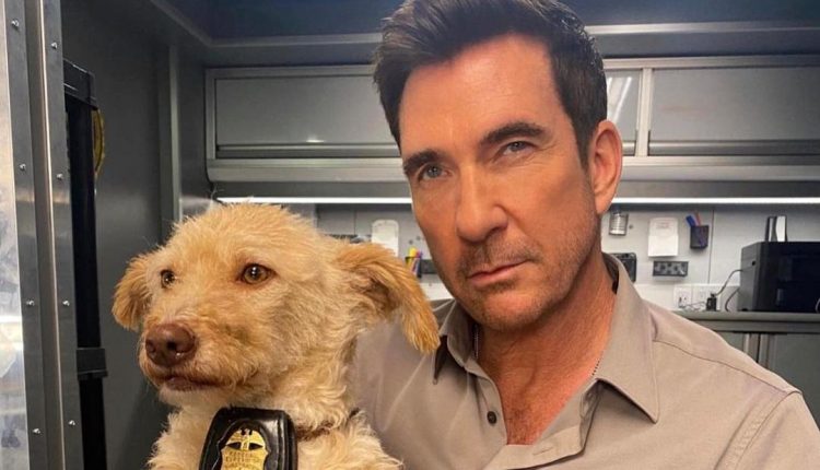 dylan.mcdermott2