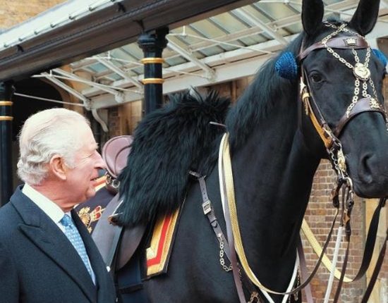 A Canadian Horse Starts A New Life At The Royal Mews In Windsor
