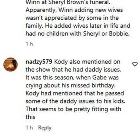 Kody Brown Abuse