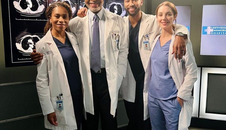 greysabc