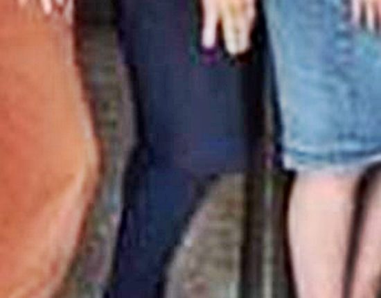 MIchelle Duggar Skirt