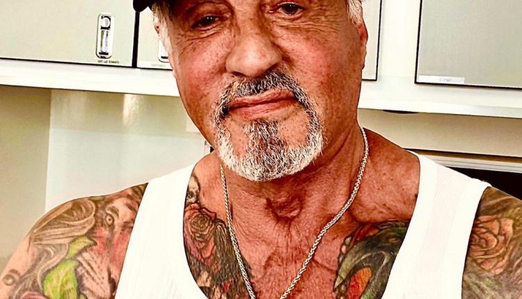 sylvester-stallone