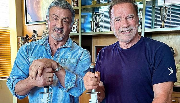 sylvester-stallone-arnold-swartzenegger