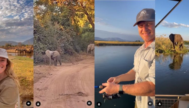 kevin-mckidd-safari