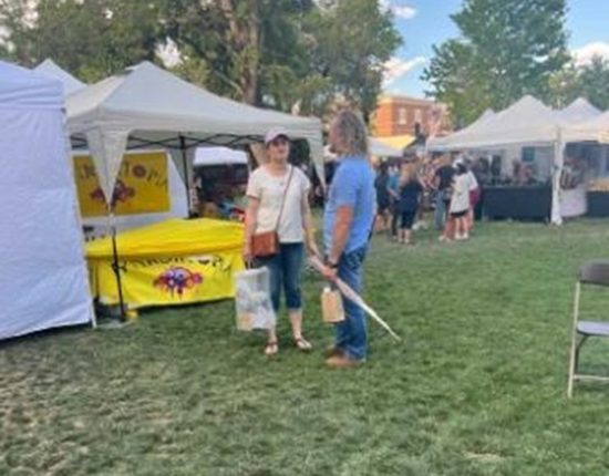 Did Sister Wives Stars Robyn and Kody Brown Attend A Family Reunion