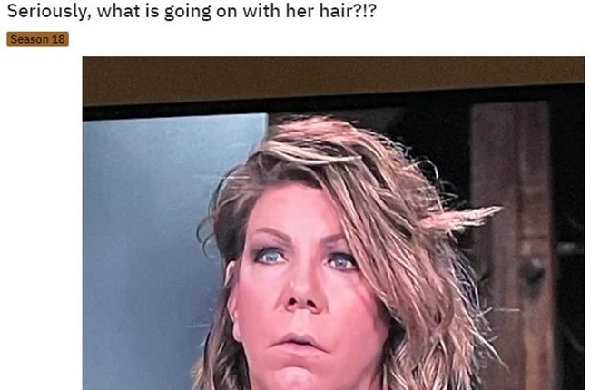 TLC SISTER WIVES MERI BROWN DISLIKED BY THE CREW
