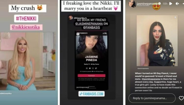 jasmine-nikki
