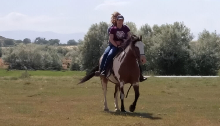 Sister Wives Kody Brown and Robyn Double Up on a horse – TLC – YouTube