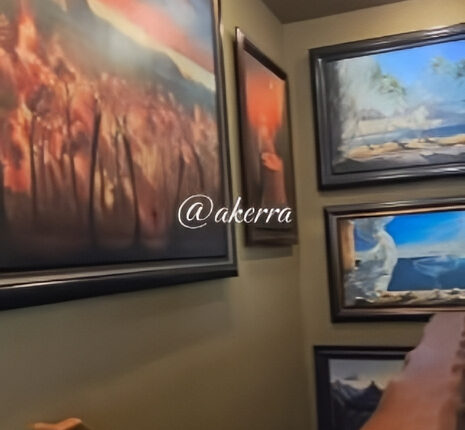 Lots of Footage of Robyn Brown’s Art – Akerra TikTok
