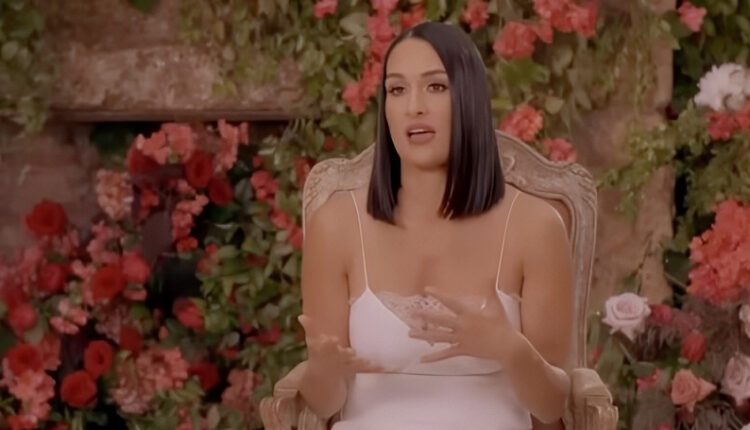 Nikki Bella Garcia E! Entertainment – YouTube