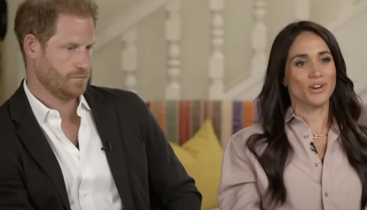 The-sussexes