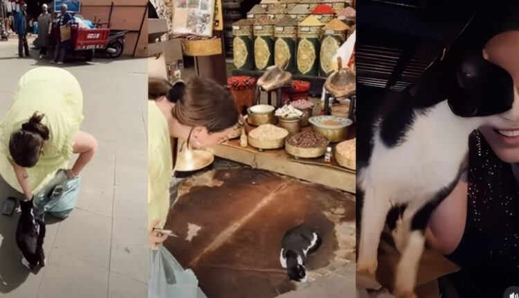 My Big Fat Fabulous Life Star Whitney Way Thore With Moroccan Street Cat- Instagram
