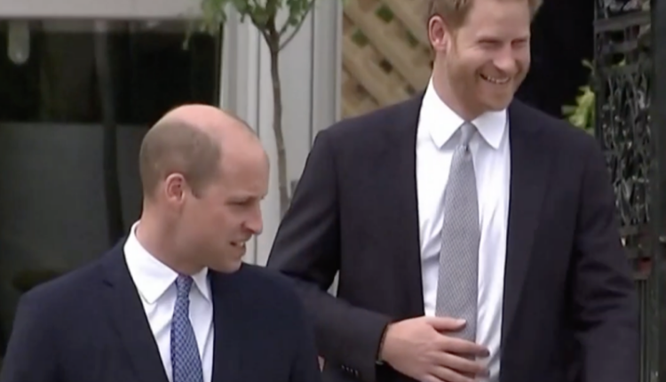 Princesses-William-Harry