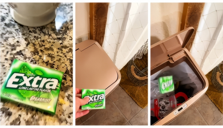 Sister Wives Star Meri Brown Trashes Spearmint Gum – Instagram