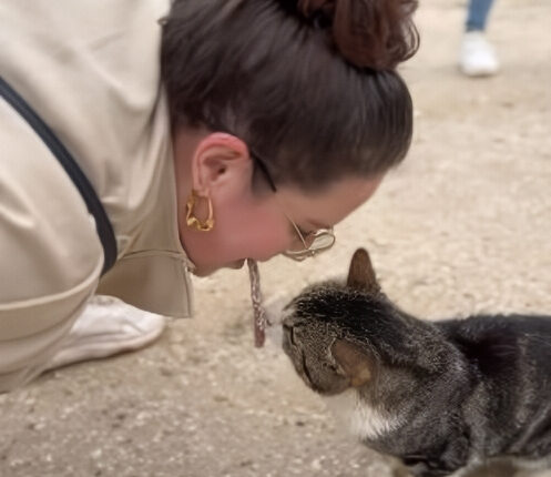 Whitney Way Thore Feeds A Spanish Street Cat From Her Mouth – Instagram