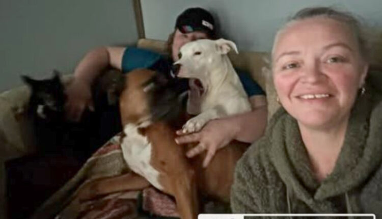 Amanda Halterman Shares Photo Of Her Son and Pups – Instagram