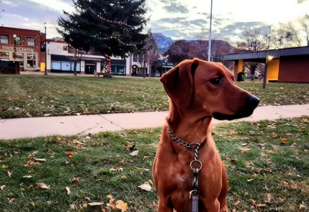 Another Photo Of Zona getting Into Small Town Vibes – Instagram