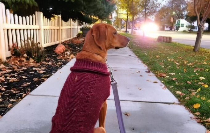 Zona Loves Walking And The Small Town Vibe- Instagram
