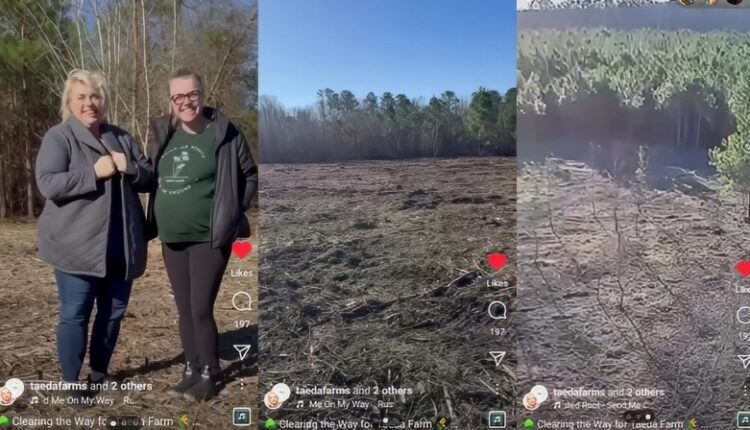 Janelle Brown Clearing The TAEDA Farms Land – IG Via Reddit