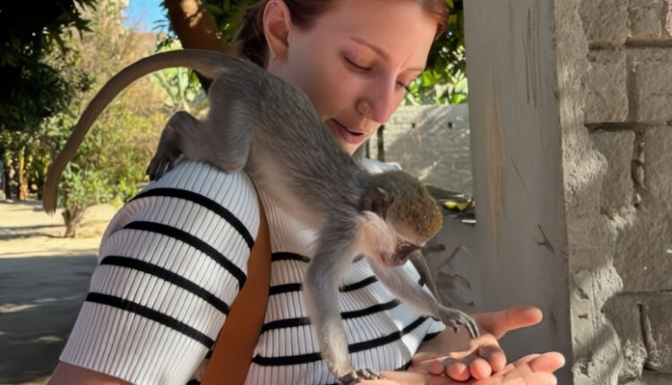 Olivia Plath Shares A New Year Photo Of A Monkey – Instagram