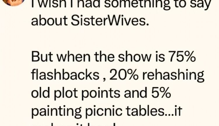 Sister wives Has Lost Relevence – Kody’s ex Wives – Instagram