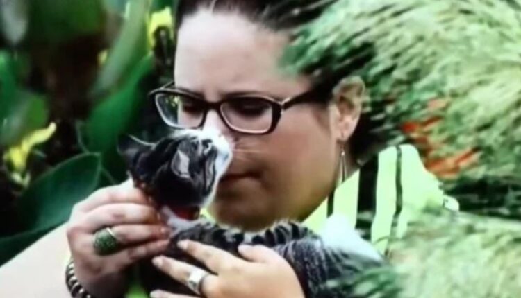 Whitney Way Thore Smells Cat Breath – MBFFL – Via Reddit