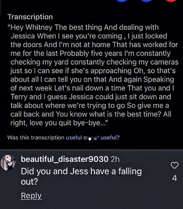 Critics Don’t See The Funny Side Of Whitney’s Post – IG Via Reddit