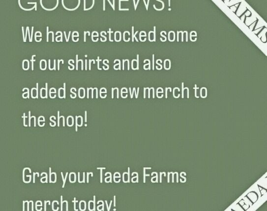TAEDA Merch – Instagram