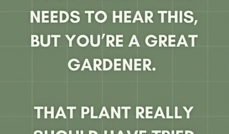 The amusing meme by Maddie Brush – Instagram