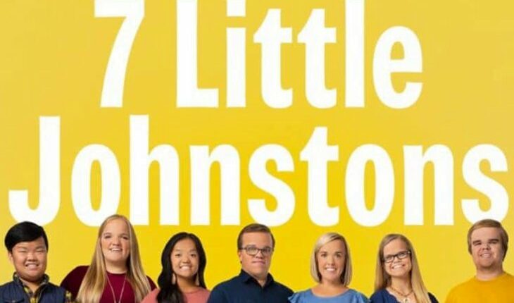 7 Little Johnstons