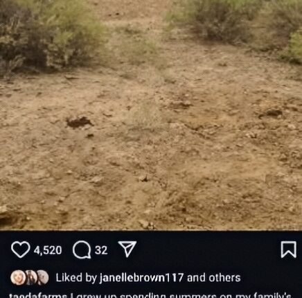 Maddie’s New Blog Pic – Instagram