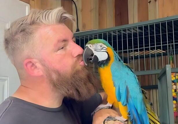 Meeting an awesome bird – @whitneywaythore – Instagram