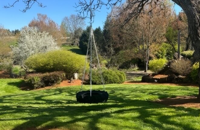 Replacing the old tire swing – Instagram