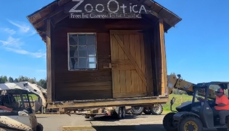 The Old Zoo Otica Shack @mattroloff – Instagram