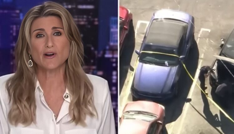 Ashleigh seemed perplexed – Banfield – News Nation – YouTube